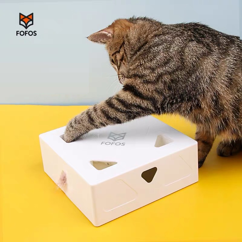 (VP0159) fofos Magic Box Two Fofos Cat Toy Electric Intelligent Self-High Magic Box Automatic Cat Funny Toy Relieve Boredom Artifact Electric Intelligent Self-High Funny Cat Magic Box Pet Toy Rechargeable Toy Cat Toy Automatic Master Royal Use