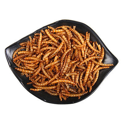 (VP0189) JONSANTY Dried Mealworms Baked Mealworms Dried Fish Food Turtle Food Bird Food Lizard Food Hedgehog Food Natural Feed High Protein Feed 1200ML