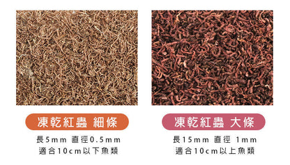 (VP0191) JONSANTY 90g freeze-dried dried red worms (large strips) fish food turtle food shrimp food natural feed natural fish feed 600ML