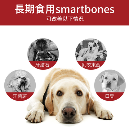 （VP0072）Smartbones 雞肉味迷你潔齒骨128g8支裝 犬用潔齒骨 耐咬潔齒除口臭磨牙棒 狗零食