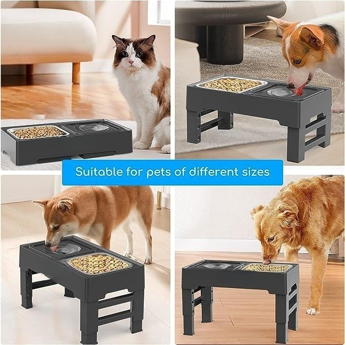 (VP0138) Pet double food bowl, pet food bowl, stainless steel basin, dog and cat bowl, water bowl, foldable bowl, cat bowl, drinking bowl, dog bowl, adjustable heightening dog bowl, protects cervical vertebrae, pets prevent overturning pet food bowl