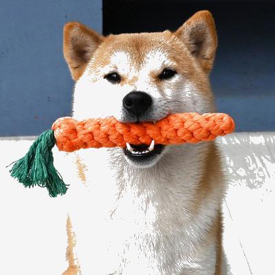 (VP0047) Pet cotton rope teething toys 3-piece set chewing toys interactive chewing training interactive toys dog toys pet toys teething toys