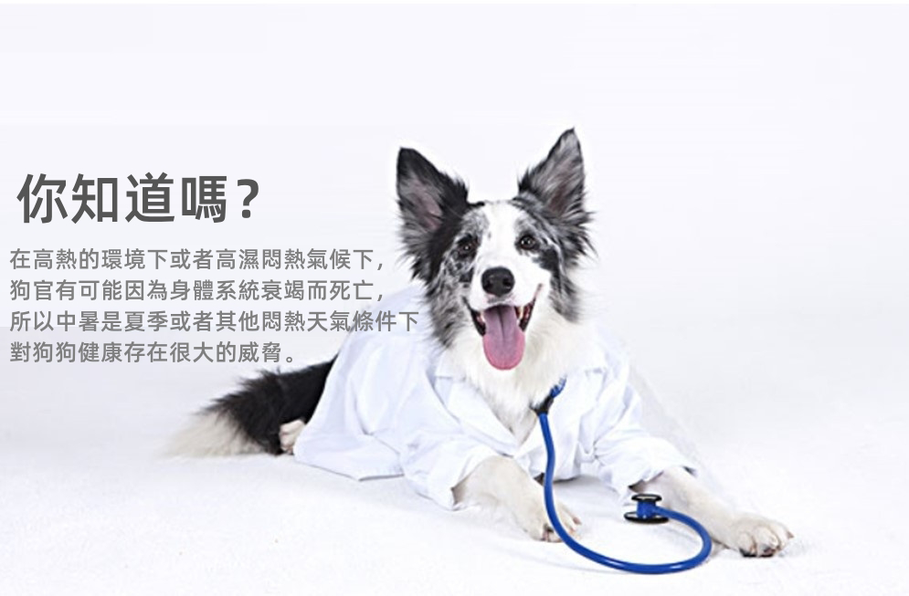 (VP0110) Cooling Vest Summer Dog Cooling Pet Cooling Clothes Summer Heatproof Vest Vest Dog Cooling Vest Pet Cooling Artifact