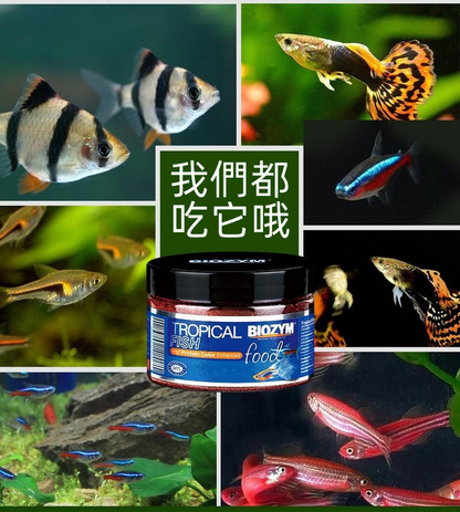 (VP0186) BIOZYM 熱帶魚魚食 水族觀賞魚魚糧 微粒飼料 小型魚飼料 魚食魚料 小型熱帶魚增色微粒糧 細粒裝專用魚糧飼料 300g