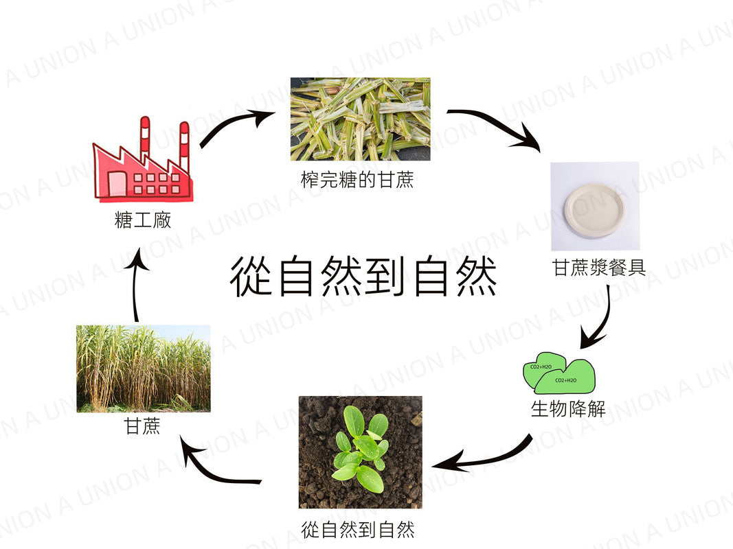 （VH0758）[50隻裝]一次性7吋即棄紙碟 泰國進口甘蔗漿生產 可生物降解甘蔗紙碗 Party聚會露營戶外燒烤打邊爐必備 快餐餐具 可降解紙碟 燒烤 生日蛋糕 即用即棄餐具 18cm