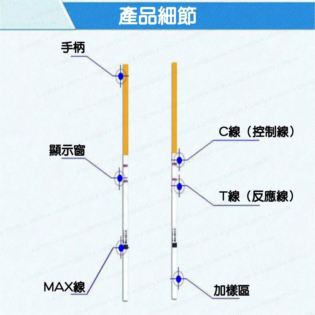 （VH0939） 排卵檢測試紙盒裝(10條裝) 促黃體生成素(LH)檢測試紙 【預測排卵】