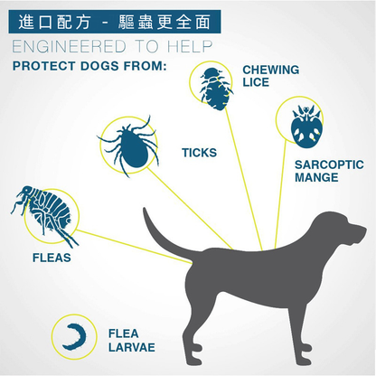 (VP0145) Insect Repellent Collar Summer Summer Anti-flea Pet Supplies Mosquito Repellent and Insecticide Adjustment Collar Dog Repellent Collar Dog Repellent Flea Repellent Tick Repellent Mosquito Repellent Mite Dogs