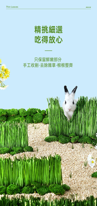 (VP0184) Yee dried timothy grass fresh hay rabbit guinea pig chinchilla grass grain feed timothy grass chinchilla rabbit feed molar food timothy grass segment 750g/pack