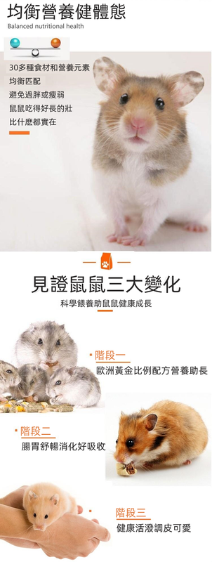 (VP0143) Ham Cereal Seafood Fruit and Vegetable Nutrition Hamster Food Pet Hamster Main Food Feed Golden Bear Food Hamster Food 1LB