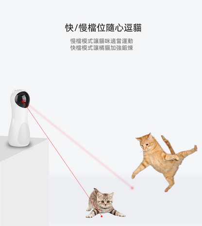 (VP0156) Bear laser cat teaser LED red light laser cat smart toy automatic laser cat teaser red light laser pen tease cat laser pen infrared