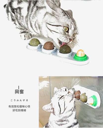 (VP0092) Cat Mint Ball Toy Licking Spin Ball Cat Mint Cat Snack Lollipop Self-Happy Cat Toy Pet No Additive Mixed Flavor Spin Ball Pure Natural Mint Ball