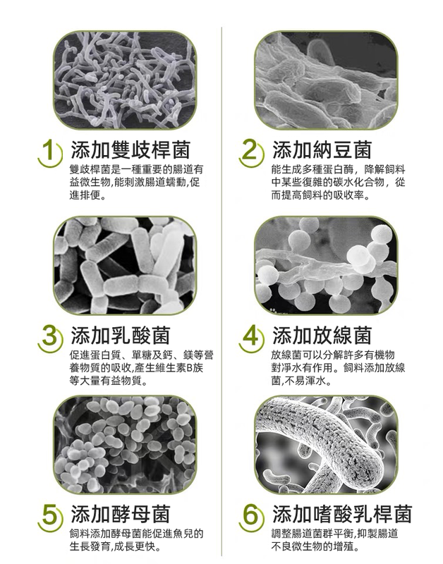 (VP0186) BIOZYM 熱帶魚魚食 水族觀賞魚魚糧 微粒飼料 小型魚飼料 魚食魚料 小型熱帶魚增色微粒糧 細粒裝專用魚糧飼料 300g