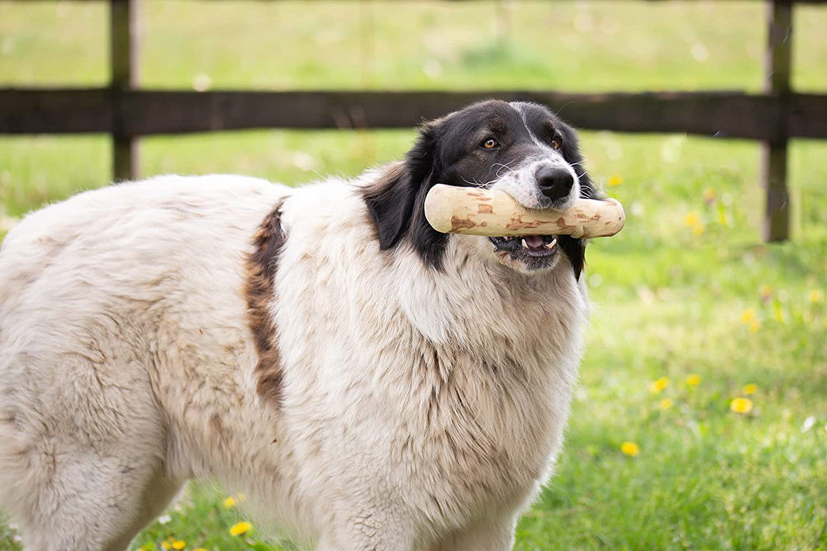 (VP0236) Dog Coffee Wood Teeth Cleaning Stick 20CM Furniture Savior Coffee Wood Dog Chewing Toy/Teeth Cleaning Stick